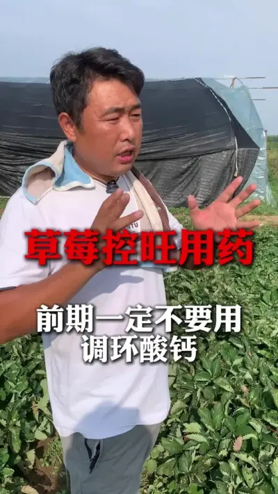 ��ݮ������ҩ#��ݮݪֲ #��ݮ���� #��ݮݪֲ���� #����ũҵ֪ʶ��ũ���������� #��ũ������