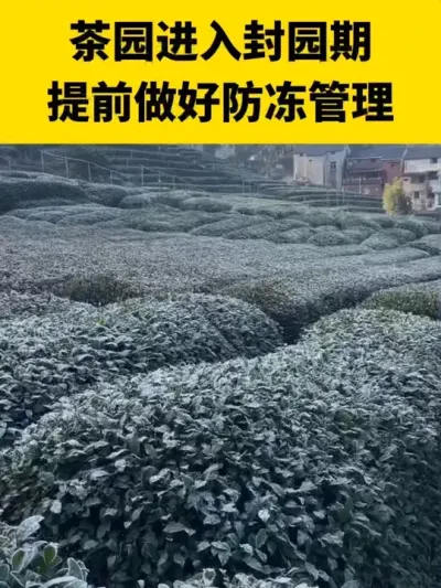 ��԰�����԰��Ҫ��ǰ���÷���Ԥ������#����