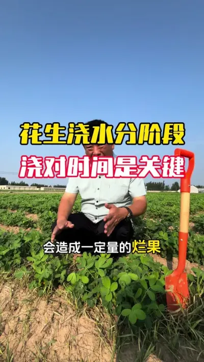 ��������Ҫ������ˮ������ʲô�׶ν���Ҫע��ʲô#����ݪֲ #�������� #�����߲� #�����߲�ݪֲ #ë��������߲�����