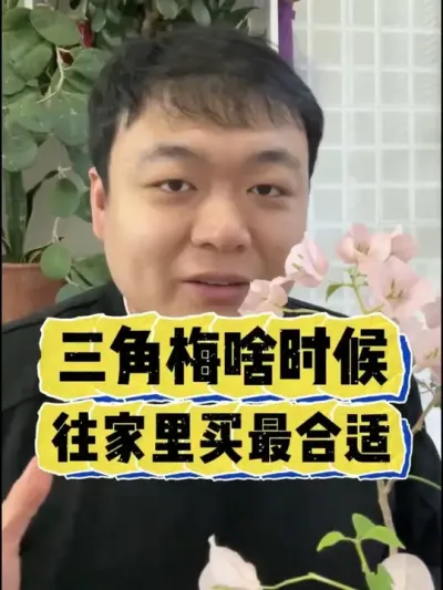 ����÷ɶʱ����������������� #���� #����С֪ʶ #���� #������ֲ #����÷