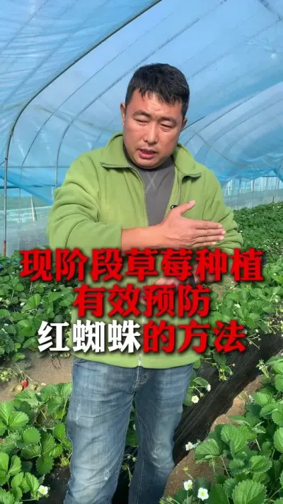 Ԥ֩Ҫ#ݮݪֲ #ݮ #ݮݪֲ #ũҵ֪ʶũ #ũ