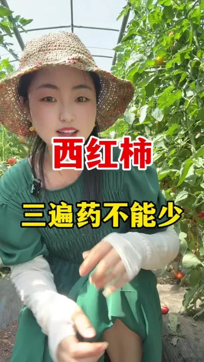 ݪֲ����������ҩ�ز����� #������ݪֲ #������ݪֲ����