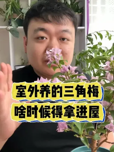 ������������÷��ɶʱ��Ӧ���ý����� #���� #����С֪ʶ #���� #������ֲ #����