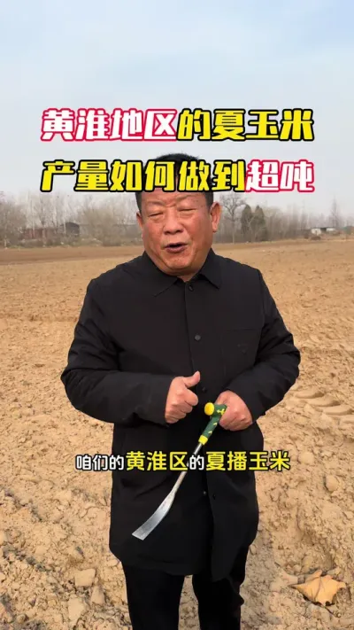 ���ײ��������������� #С��߲�����#С�� #ݪֲ�� #С��߲� #ë��������߲�����