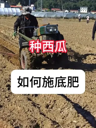 ����������ʩ�׷ʣ� ���ϵ׷�ݪֲ�ƻ�#��ũ #���� #������ũ��ũ #���溦���� #����ݪֲ����