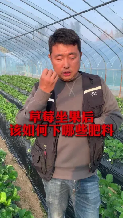 Щ#ݮݪֲ #ݮ #ݮݪֲ #ũҵ֪ʶũ #ũ