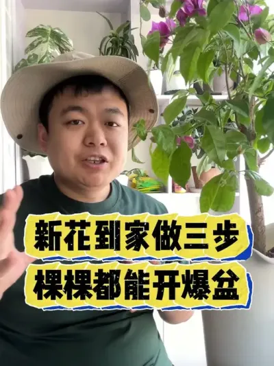新花到家做到这三步，棵棵都能开爆盆。 #养花 #养花小知识 #花卉 #花卉绿植 #盆栽