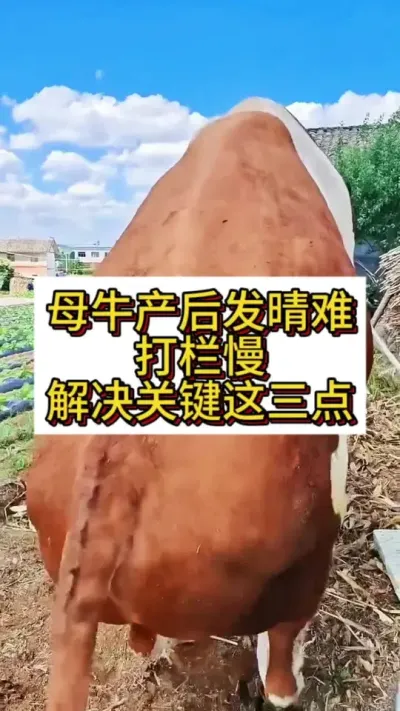 ĸţ�������������������������#ĸţ #����ĸţ #��ţ #��ţ�� #��ţ����