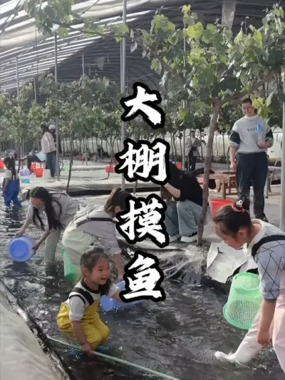 利用闲置大棚打造浑水摸鱼项目，每到周末都能吸引上千人打卡#游云文旅 #规划设计 #乡村振兴 #周二课堂