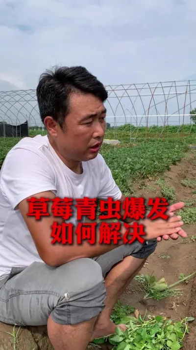 ��ݮ����������#��ݮݪֲ #��ݮ���� #��ݮݪֲ���� #��ũ������ #����ũҵ֪ʶ��ũ����������