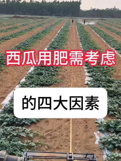 ����ʩ��ע��4�������Ϸ���ѡ�� #����ݪֲ #ũ���ƹ� #���� #�������� #������ũ