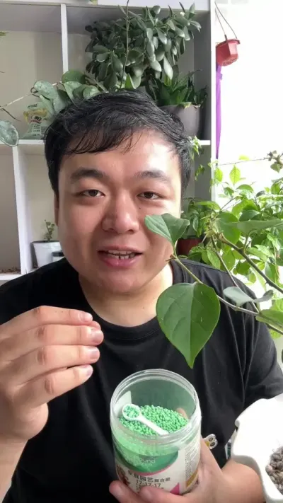 ����ͨ�÷�����Ԫ���Ϸ��������׼��� #������ֲ #����С֪ʶ #���� #���� #����