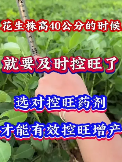 �������40����һ��Ҫʵʱ����#����ݪֲ  #�߲�ݪֲ  #�����߲�  #����ݪֲ����