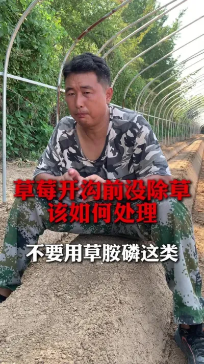 ǰûݸ#ݮݪֲ #ݮݪֲ #ݮ #ݮݪֲ #ũ