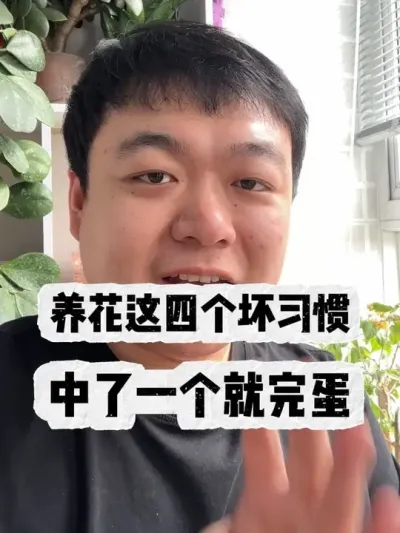 �������ĸ���ϰ��������һ�����군�� #���� #���� #����С֪ʶ #���� #������ֲ