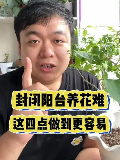 �ر���̨���������������ĵ������������ #���� #����С֪ʶ #���� #������ֲ #����