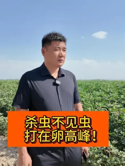 ɱ�治���� ��������� #��ũ������2025#ݪֲС���� #��ũݪֲ #������ũ֧����ũ #�޻�