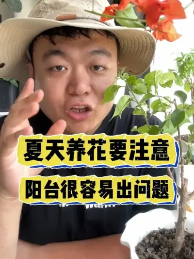 ��������Ҫע������̨���������׳������� #���� #����С֪ʶ #���� #������ֲ #����