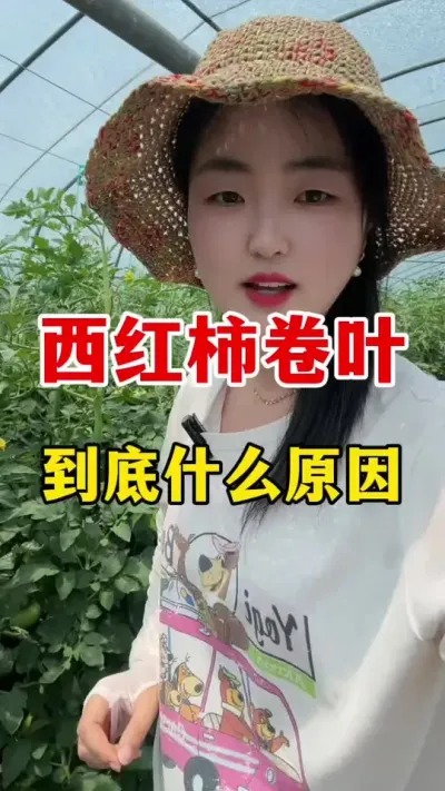 ��������Ҷ������ʲôԵ��ԭ��������� #������ݪֲ #������ݪֲ����