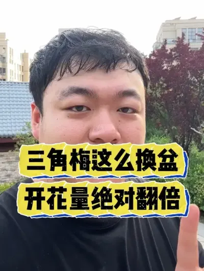 ����÷����ȥ�������Ż������Է����� #���� #����С֪ʶ #���� #������ֲ #����÷