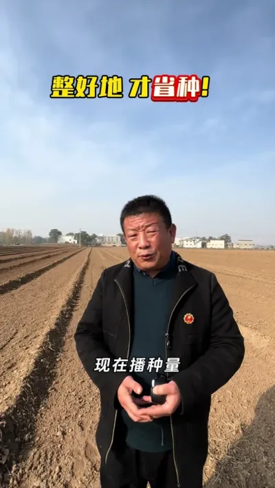 ����Ĳ���������Ӧ���¼�����#С�� #С��ݪֲ #С��߲��ײ� #С��߲������ƻ� #ë��������߲�����