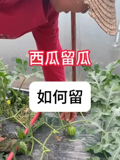  ĺŻ#ũ֧ũ #ũݪֲ #ݪֲ # #ݪֲС