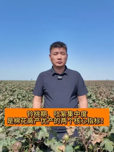 �޻��߲��Ų�����������ָ�� #��ũ������2025#ݪֲС���� #������ũ֧����ũ #ũҵݪֲ #�½��޻�