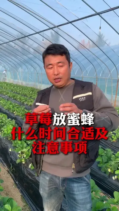 ۷ע#ݮݪֲ #ݮݪֲ #ݮ #ũҵ֪ʶũ #ũ