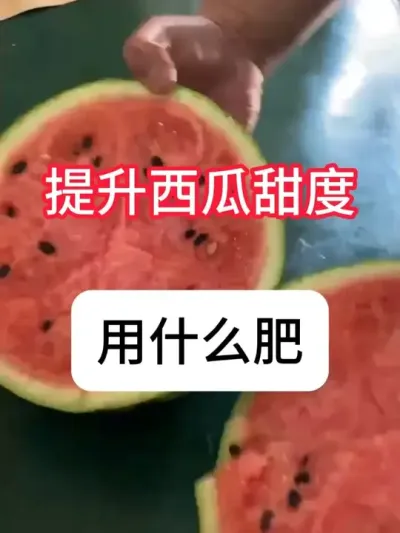 ������������ʲô��������������Ҫ�� #����ݪֲ #�������� #ݪֲС���� #���� #������ũ