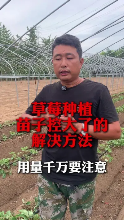 ݮشʶҪ#ݮݪֲ #ݮݪֲ #ݮ #ũҵ֪ʶũ #ũ