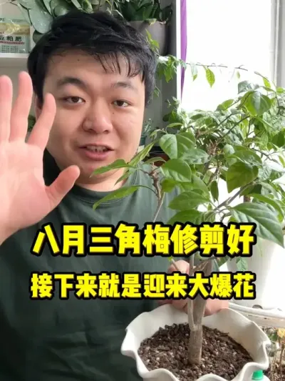 ���·�Ҫ���ȸ�����÷�޼��ˣ��ú��޼����ܱ����� #���� #����С֪ʶ #���� #������ֲ #����