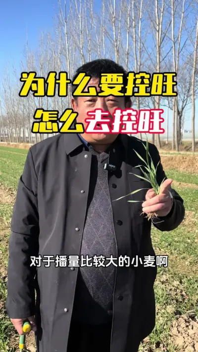 ΪɶҪ������ôȥ��#С��#С��ݪֲ#ݪֲ�� #С��߲�#ë��������߲�����