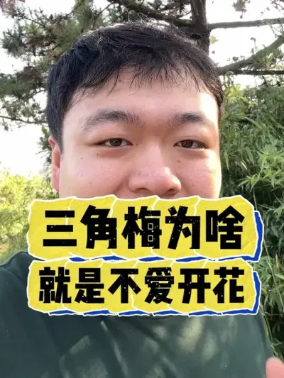 Ϊɶ�������÷�����Ż��� #���� #����С֪ʶ #���� #������ֲ #����÷