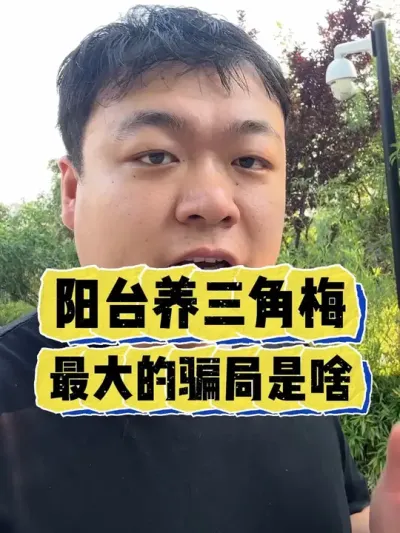 ��̨������÷������Ȧ����ɶ�� #���� #����С֪ʶ #���� #������ֲ #����÷