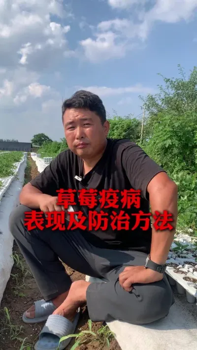 ��ݮ�߲����ּ�����Ҫ��#��ݮݪֲ #��ݮݪֲ���� #��ݮ���� #��ũ������ #��ũ