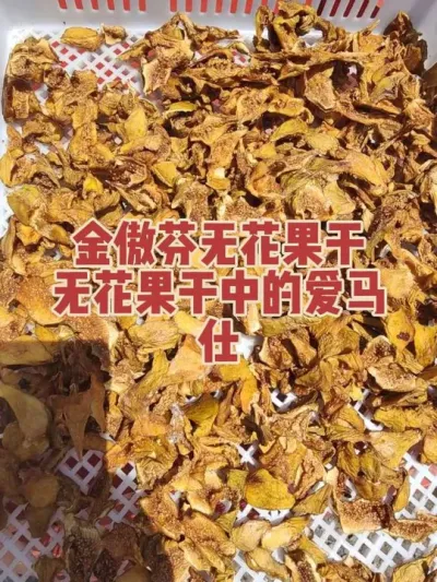 ����Ũ������������ڸи¸º�#�����޻���ݪֲרҵ������