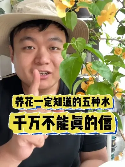 ����һ��Ҫ�õ�����ˮ�����򲻿�������� #���� #����С֪ʶ #���� #������ֲ #����