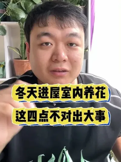 �������������ܽ������⼸�� #���� #����С֪ʶ #���� #������ֲ #����