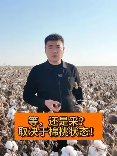 �����վɲ��� ȡ��������״̬�� #��ũ������2025#ݪֲС���� #������ũ֧����ũ #ũҵݪֲ���� #֧����ũ������ũ����