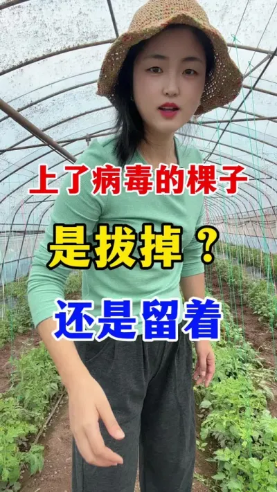 ˲ĿӾӦվɰε #ݪֲ #ݪֲ