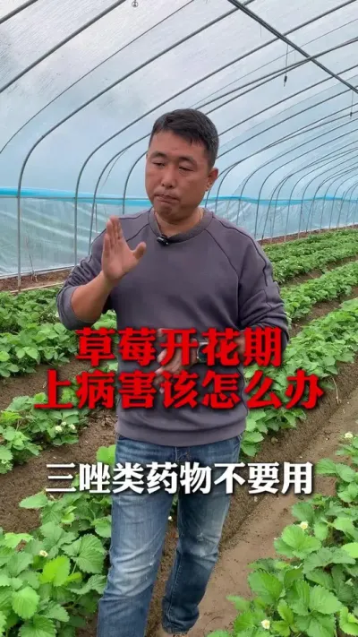 Żϲô#ݮݪֲ #ݮ #ݮݪֲ #ũҵ֪ʶũ #ũ