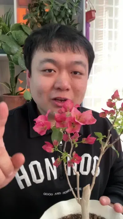 �����´�ѩ����������÷����������ʵ��������ɶ�������� #���� #����С֪ʶ #���� #������ֲ #����