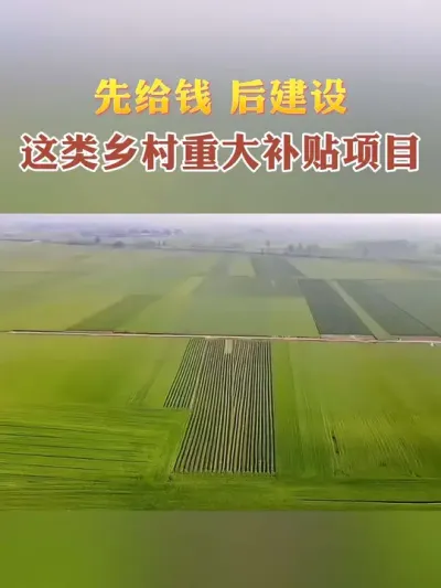 �ȸ�Ǯ�����������Ŀ����ý���һ����#���乤ҵ���� #��ũ #�������� #������ũ #��������dou�ж�