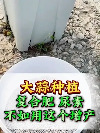 ���⸴�Ϸ��վ����ز������� #����ݪֲ #����߲� #����ݪֲ���� #����߲����������� #������ũ