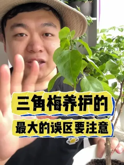 ������÷�������������ֻ���һ��ע���� #���� #����С֪ʶ #���� #������ֲ #����÷