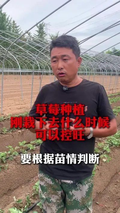 ݮȥô#ݮݪֲ #ݮݪֲ #ݮ #ũҵ֪ʶũ #ũ