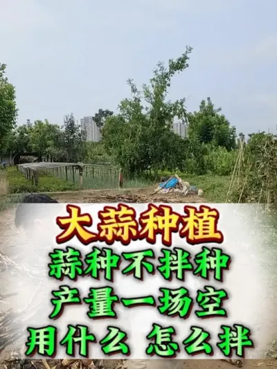 ���ⲻ����������һ���� #����ݪֲ #����ݪֲ���� #����߲� #����߲�ݪֲ #ũҵݪֲ