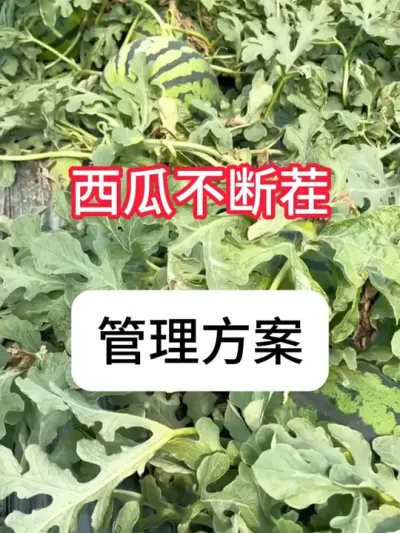 ��ô������һֱ������������Ҫ�� #����ݪֲ #ݪֲС���� #��ũ #�������� #������ũ