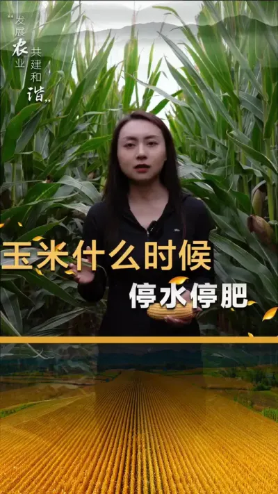 ����ʲôʱ��ͣˮͣ��#��ũ #����ݪֲ #����ݪֲ���� #�������� #������ũ��