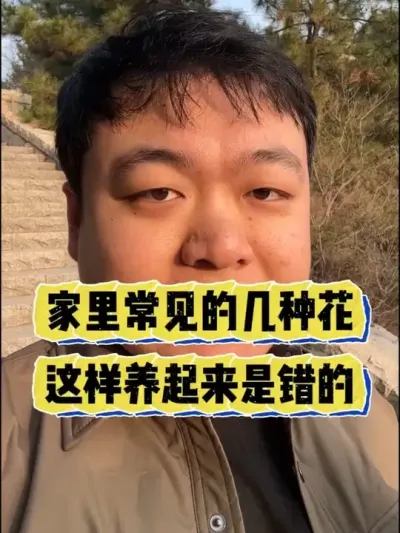 ���ﳣ���ļ��ֻ��������������ǹ�ʧ���� #���� #����С֪ʶ #���� #������ֲ #����